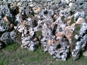 Vápenec Kvapel - kusový kameň - ᴓ rôzne